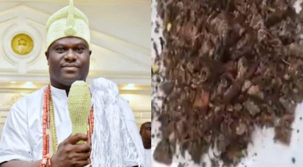 Here is why Nigerians believe Ooni of Ife’s recipes to cure Coronavirus won’t work!