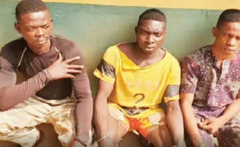 Three arrested as One Million Boys members gang-rape lady, video her in Ogun