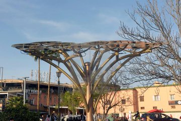 See solar panel tree that charges phones for free in Marrakech, Morocco (Photos)