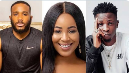 BBNaija 2020: Laycon drops smooth lines for Erica and Kiddwaya (video)