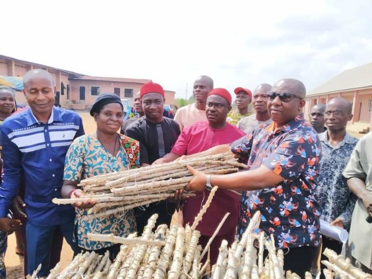 Anambra Lawmaker shares cassava stems to his constituency members to kick-start early farming! Pictures👇