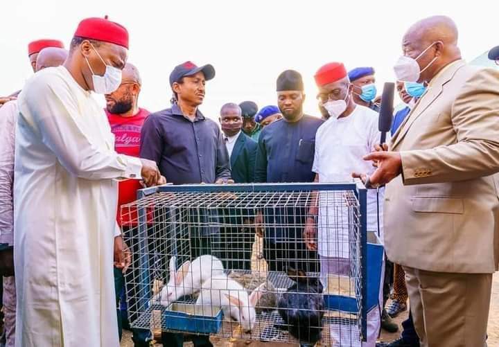Photonews: Imo State Government distributes live Rabbit to empower youths of the state!