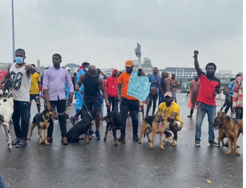 #EndSARS: Police fire tear gas at protesters as protest resumes in Abuja! Video👇