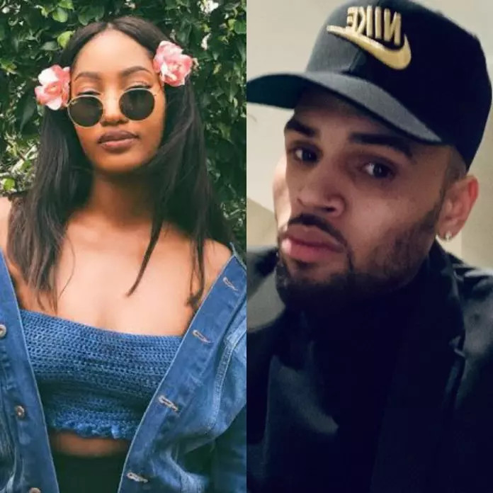 American singer Chris Brown gushes about Tems