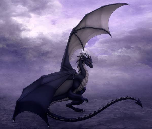 Female Dragon: Characteristics, types, mating pattern and life span.