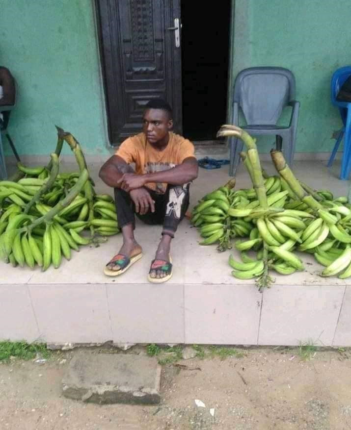 I stole to raise money for my girlfriend’s 10k make-up – Bayelsa plantain thief confesses! Pictures👇