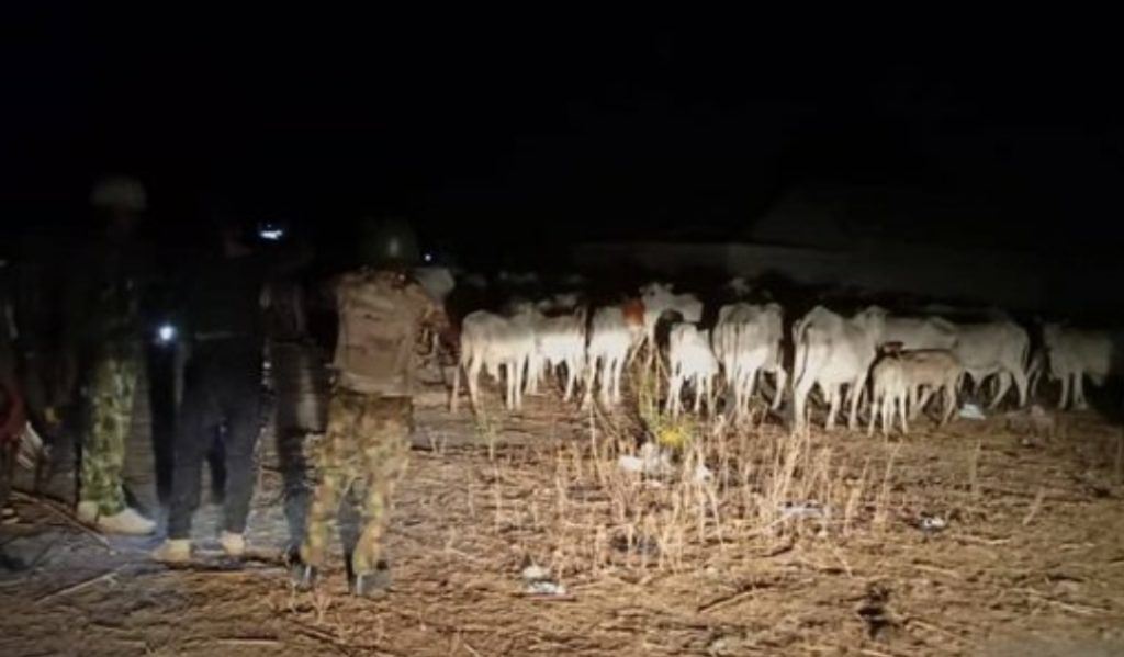 Security rescues 300 Cows amid wave of kidnappings by bandits!