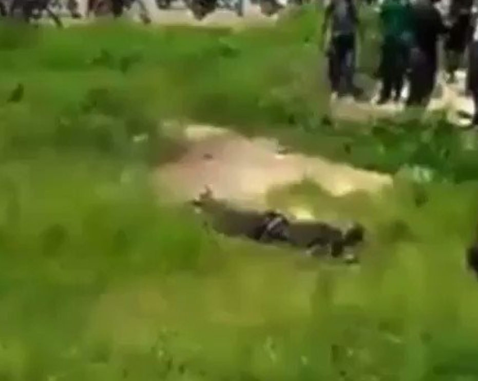 Suicide Bomber blown to pieces after a failed attempt to blow up a primary school in Ebonyi State! Video👇 (Viewers discretion advised)