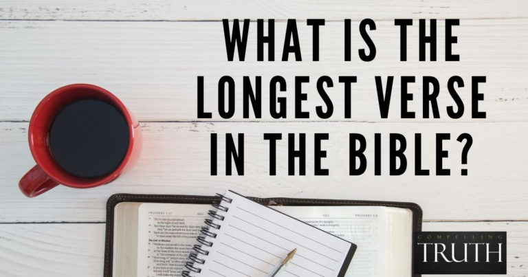 What is the longest vesrse in the Bible?