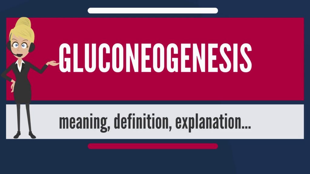 Glucogenesis: All you need to know about formation in living cells of glucose and other carbohydrates from other classes of compounds