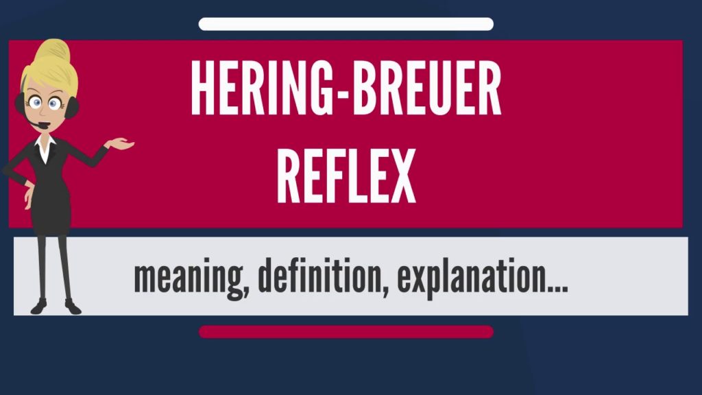 Hering Breuer Reflex: All you need to know about reflex triggered to prevent the over-inflation of the lung