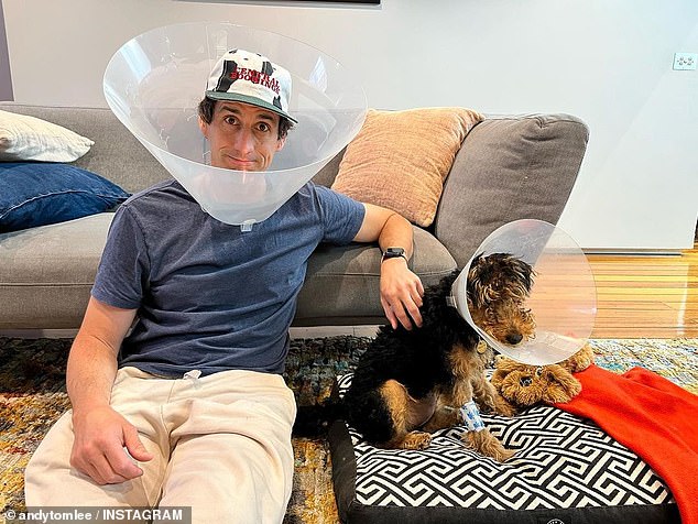 Andy Lee wears a cone over his head in solidarity after getting his pet dog Henri desexed