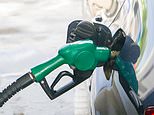 Price of petrol hits a NINE YEAR HIGH of 140.22p per litre