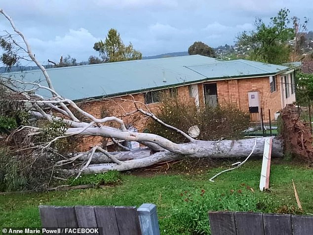 Australia’s east coast prepares for MORE severe thunderstorms this week after TORNADO