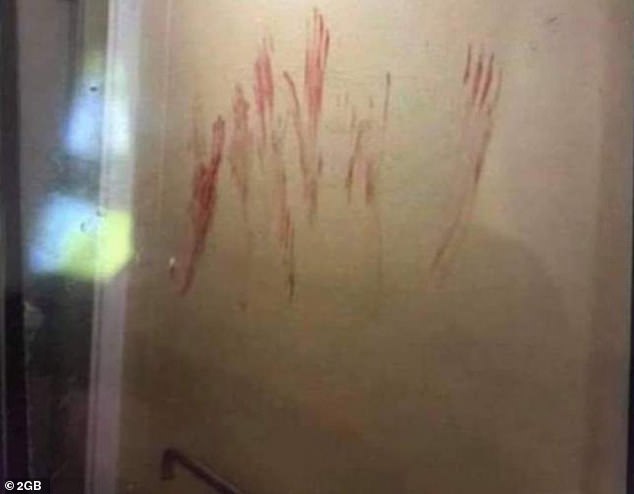 Wall at popular Sydney pub where young woman was allegedly sexually assaulted smeared with blood