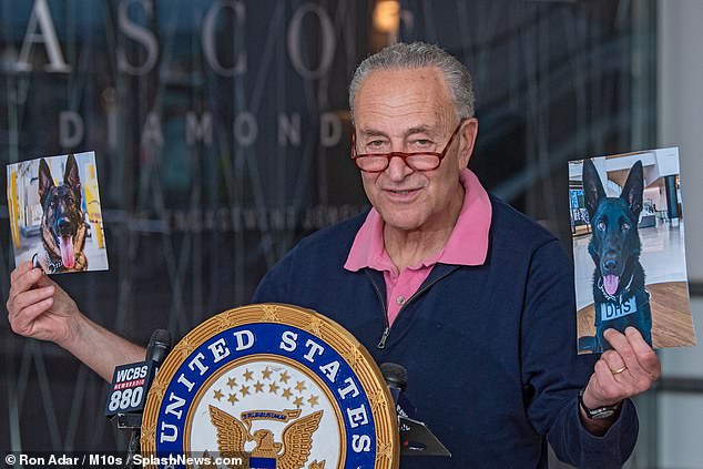Schumer: Use DOGS to keep airport security lines moving if vaccination rule creates staff shortage