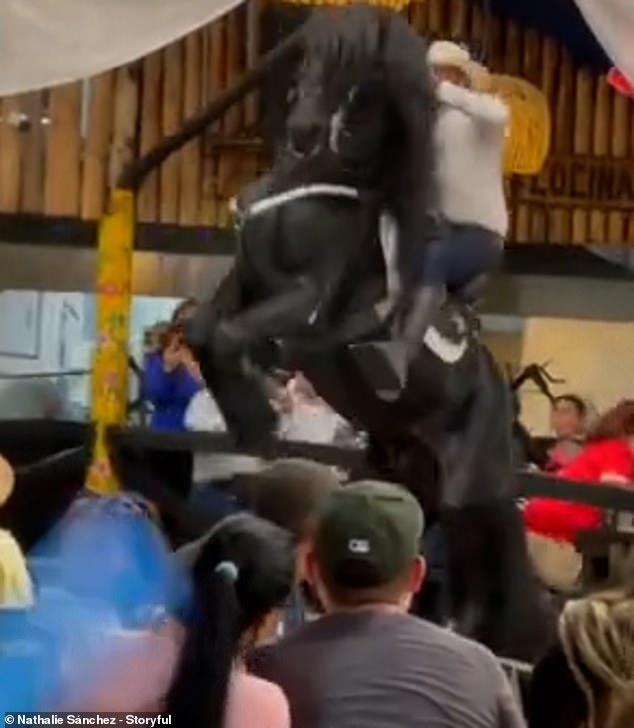 Bogota diners scatter when a horse rears and falls onto tables during a performance