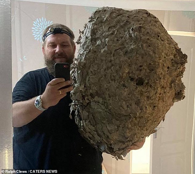 Pest controller shares selfie with ENORMOUS 3ft tall wasps’ nest