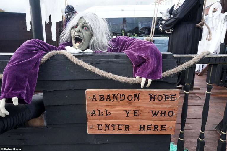 Tamworth man builds giant pirate ship in his garden for Halloween