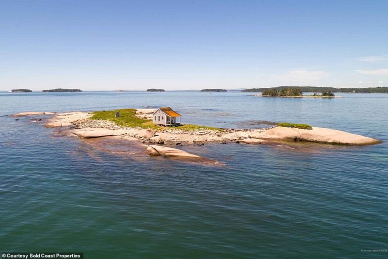 Private island off Maine coast for sale – $339,000 with cottage complete with OUTHOUSE and NO shower
