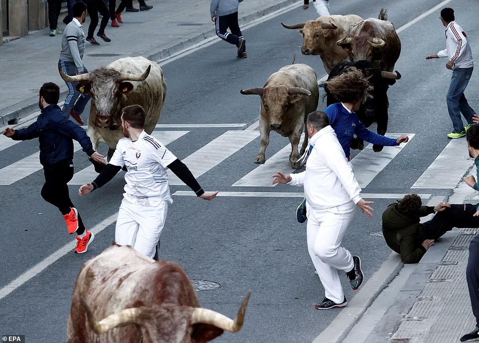 Covid: Spaniards celebrate plummeting infection figures by risking their lives running with bulls 1