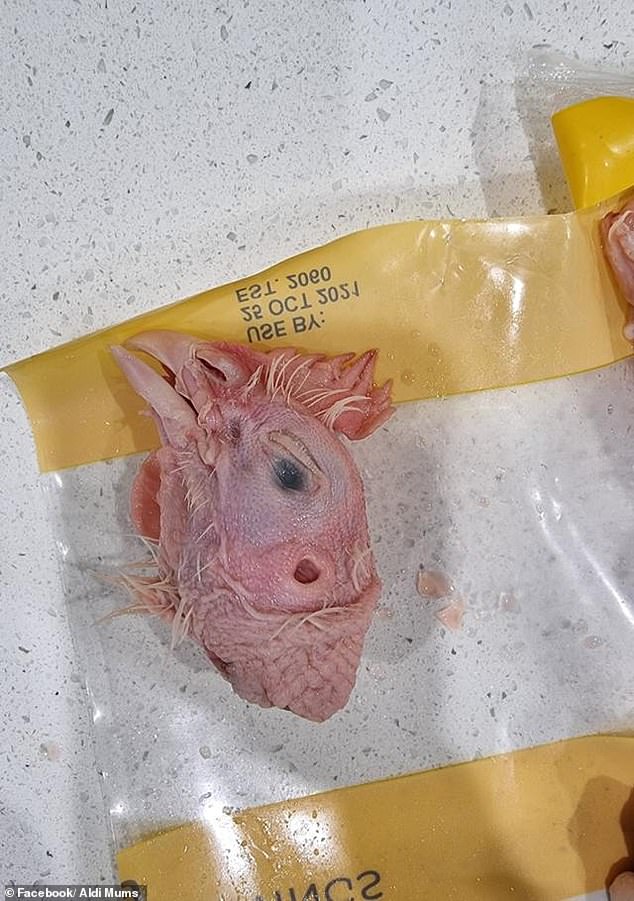 Aldi shopper shares how she found chicken head inside bag of wings bought from discount supermarket