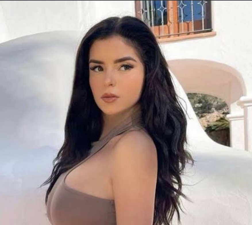 Did Demi Rose do plastic surgery? Here is what we know about the multi-talented American entertainer!  2