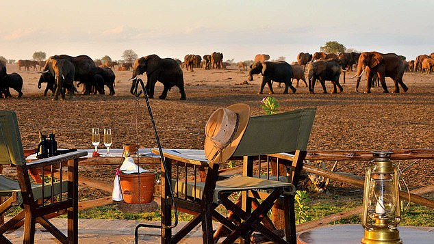 Back to the bush: Safaris are open again – and this lodge in Kenya doesn’t need a jumbo wallet 