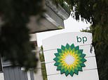 Are BP and Shell shares worth investing in for dividends and growth? 1