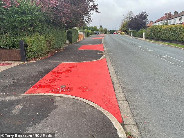Furious homeowners hit out at council for painting entrances to driveways RED