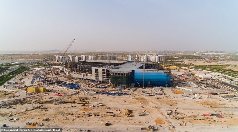 Pictures reveal how SeaWorld’s first park without orcas is taking shape in Abu Dhabi
