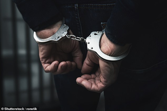 Only one in 15 crimes end up going to court as figure slumps to a record low, new data reveals  1