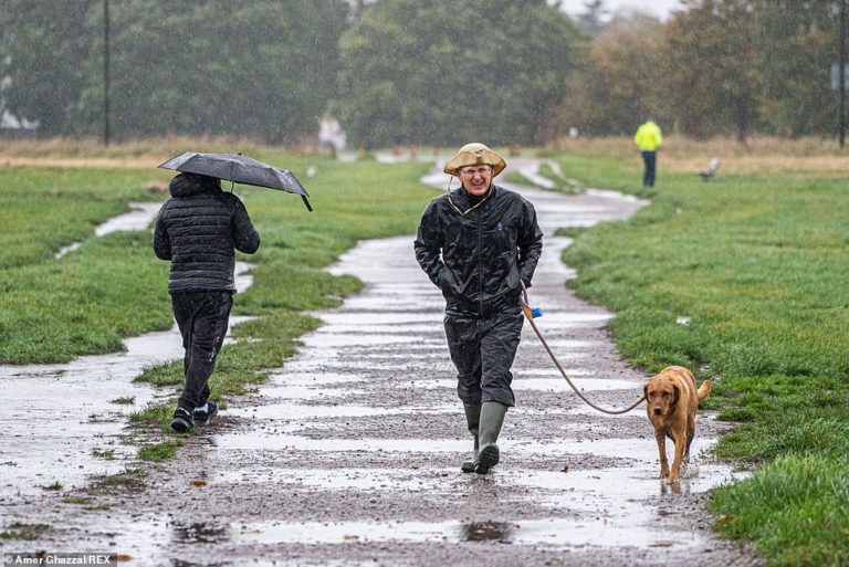 Met Office warns US tropical Storm Wanda could bring strong winds and heavy rain to UK