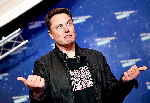 What a Tweet! Tesla slumps after Musk asks Twitter if he should sell