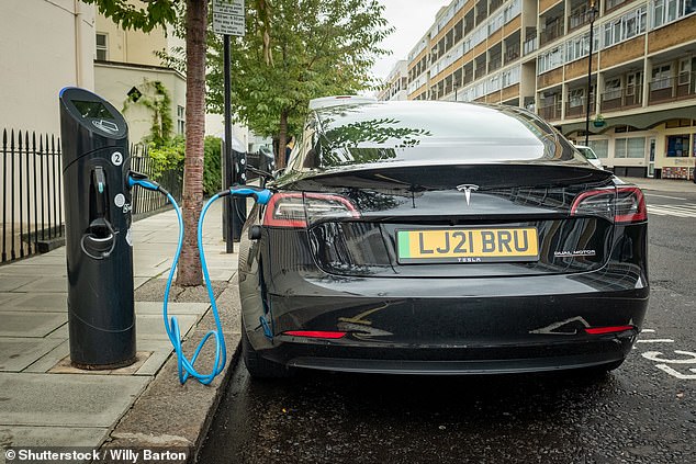 Electric cars will ‘remain the preserve of the wealthy’ without more incentives