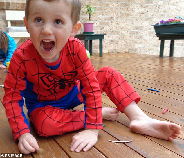 Police reveal detectives are looking at ONE person of interest in William Tyrrell disappearance