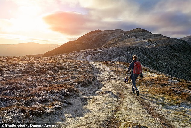 Britons reveal the top 25 things they love about winter in the UK, from crisp walks to roaring fires