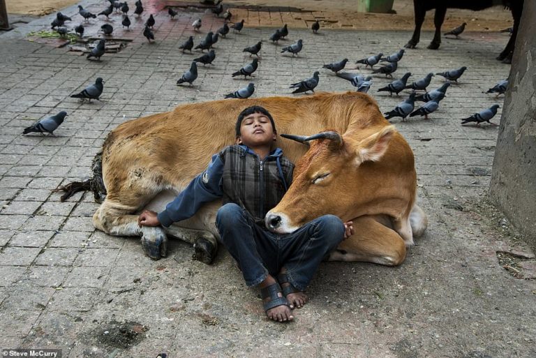 New book Stories and Dreams by photographer Steve McCurry contains mesmerising photos of children