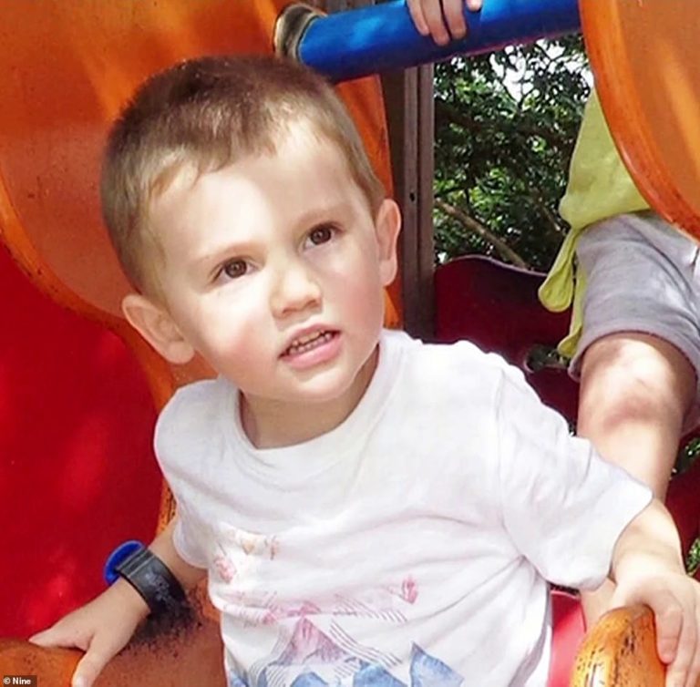 William Tyrrell search Kendall: The major developments in missing boy case