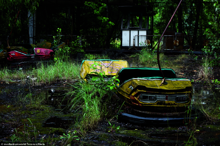Back in the USSR: Eerie photos show abandoned fairground reclaimed by nature, an empty swimming pool