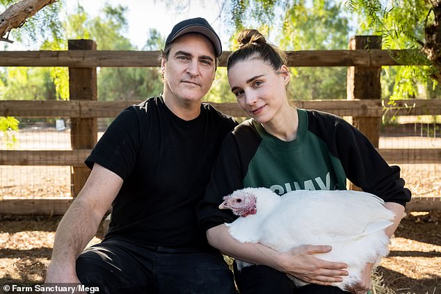 Joaquin Phoenix and Rooney Mara ask people to adopt turkeys ahead of Thanksgiving