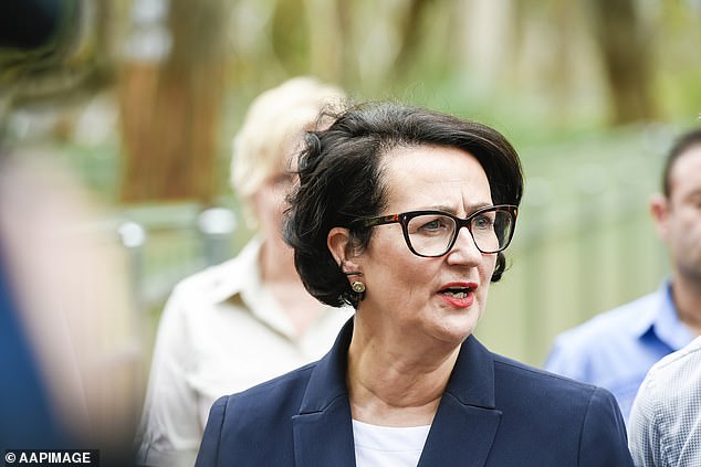 Vickie Chapman: South Australian’s deputy premier steps aside as minister