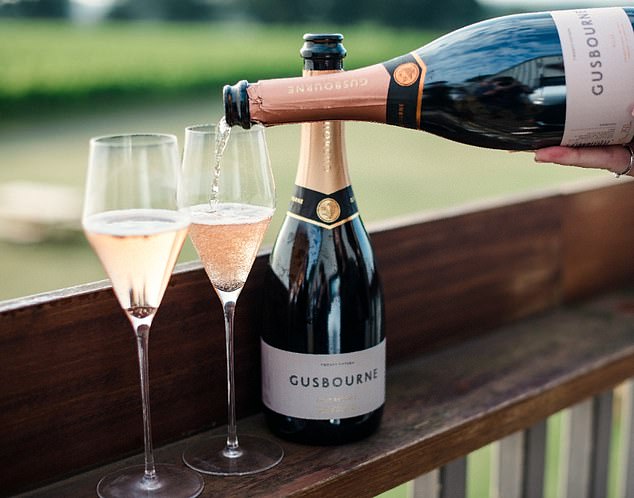 English winemaker Gusbourne cheers £6m cash call to pay off debt 