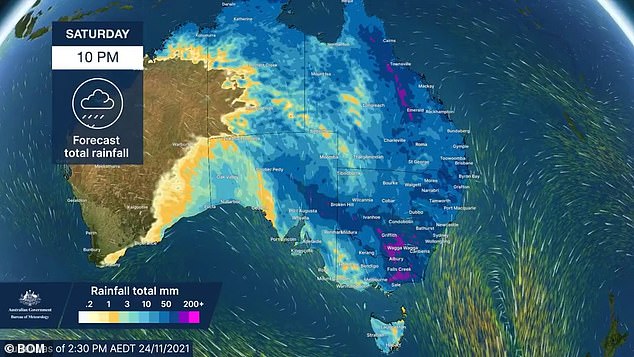 Australia weather: Wettest November in 150 years as NSW is pummeled with rain