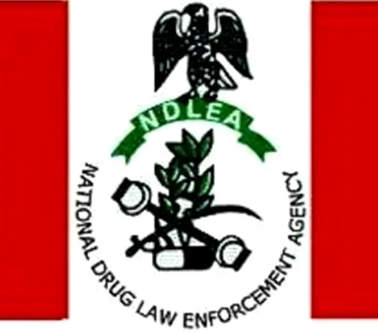 NDLEA nab 12 Apapa Dock workers over links  to seized N9.5bn Cocaine