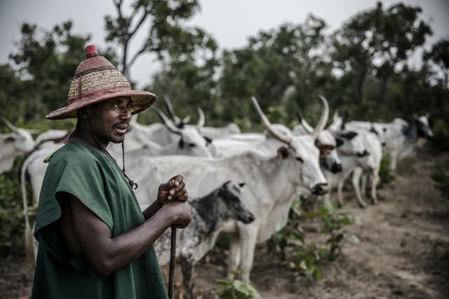 Adamawa farmer sentenced to death for killing herdsman who attacked him on his farm