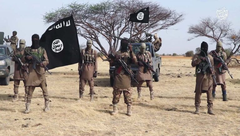 ISWAP abducts royal family members in Borno