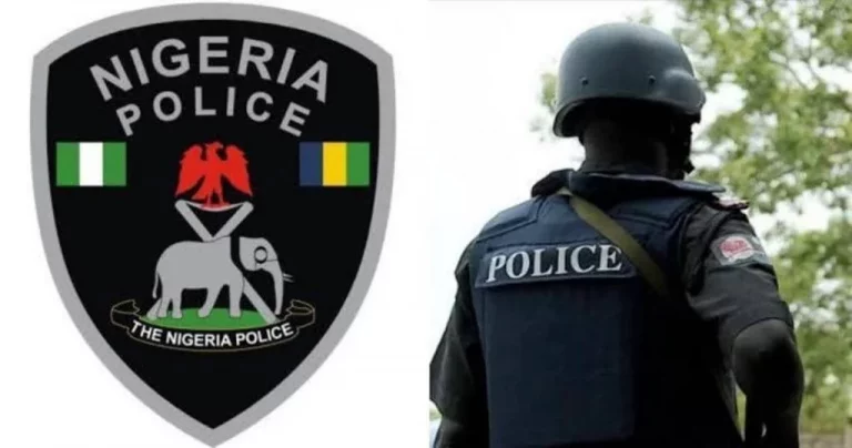 Police neutralise two ssuspected ESN members in Imo!