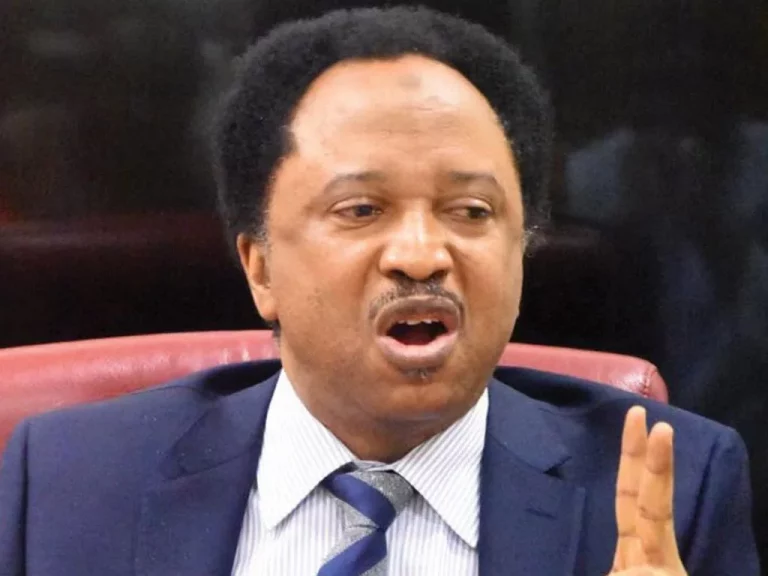 Kidnappers now target University lecturers, Shehu Sani laments