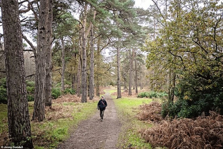 Follow in Prince William’s footsteps on a Norfolk nature stroll